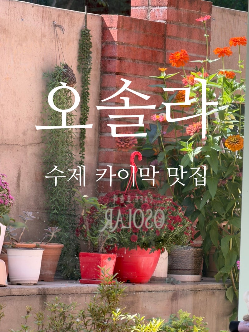 대구 수성구 브런치 카페 오솔라, 수제 카이막에 할 말을 잃은 후기
