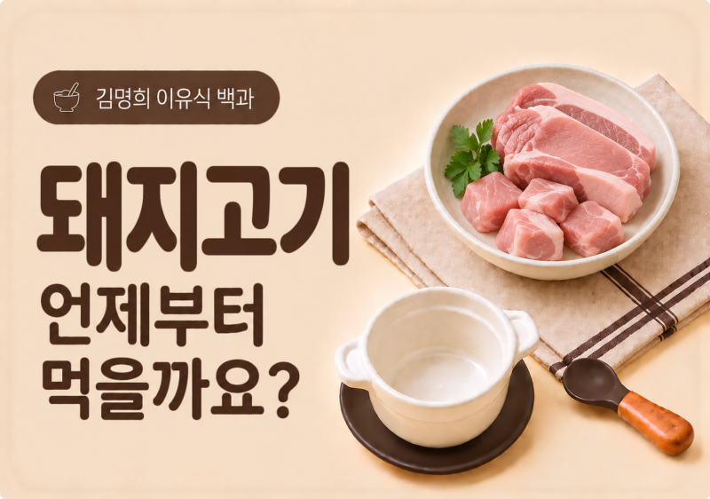 돼지고기 이유식 총정리｜언제부터 먹을까요? 부위·섭취량·조리법까지
