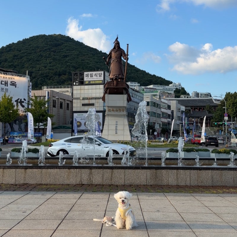 여수 애견동반 여행 코스, 이순신광장 하멜등대 낭만포차