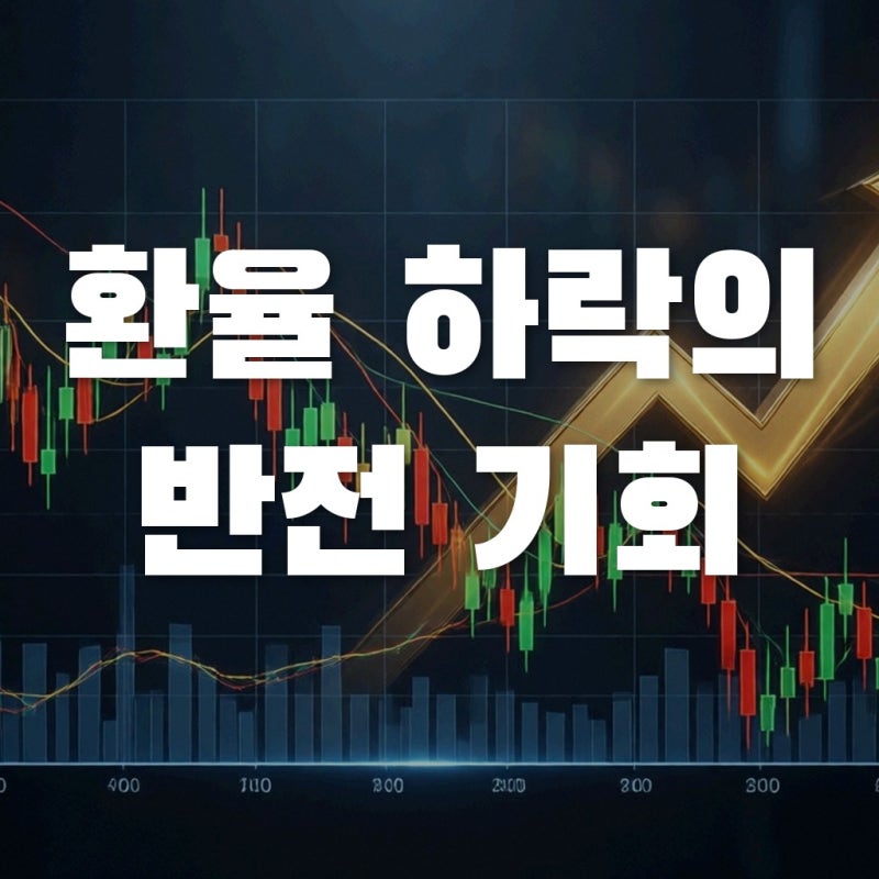 환율 하락하면 수출주만 죽을까? 진짜 웃는 항공·제지주 선별법