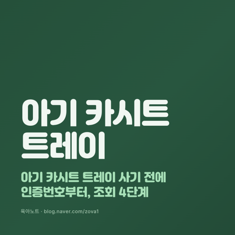 아기 카시트 트레이 사기 전에 인증번호부터, 조회 4단계