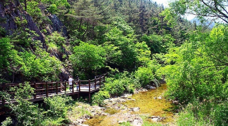 대전 가볼만한곳 계룡산 수통골, 가볍게 걷기 좋은 가을 트레킹 명소..(가을에 꼭 걷고 싶은 ....