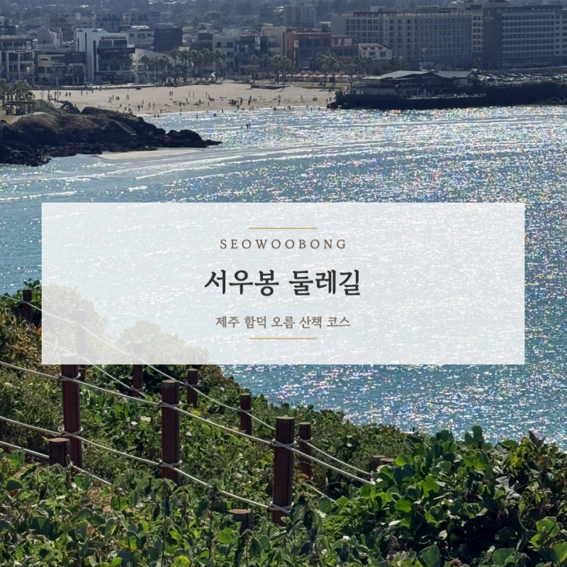 제주 함덕 가볼만한곳 서우봉 둘레길 40분 코스 솔직 후기