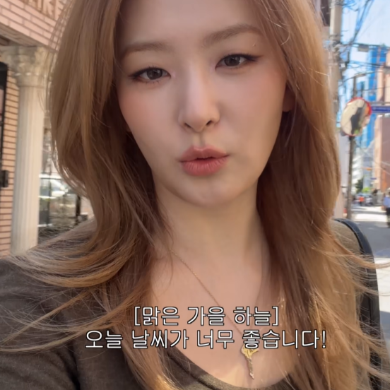 ‘마라룽가부터 토고까지 다 앉아봤어요’ 슬기 빈티지 소파 투어 까시나 LC3 직접 비교