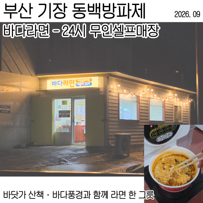 부산 산책 데이트 코스 l 기장 동백 방파제 l 바다라면 24시 무인셀프매장 후기