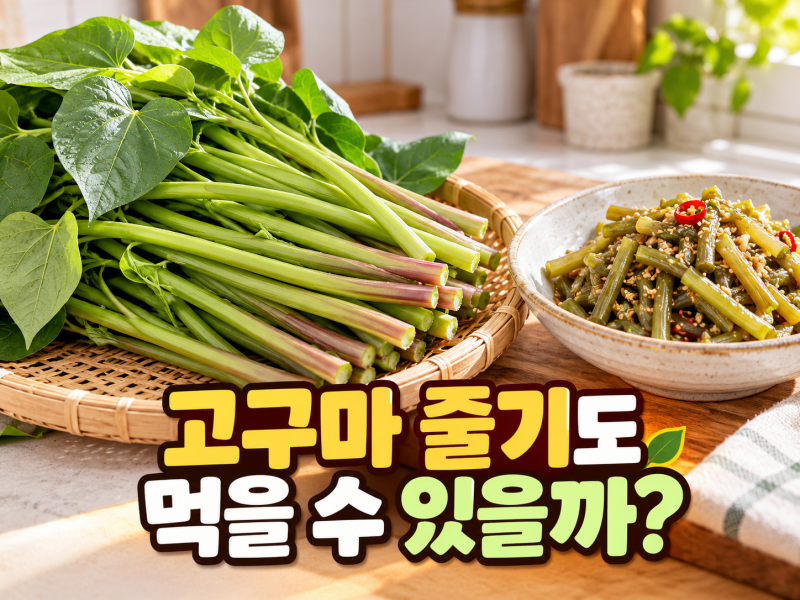 고구마 줄기도 먹을 수 있을까?