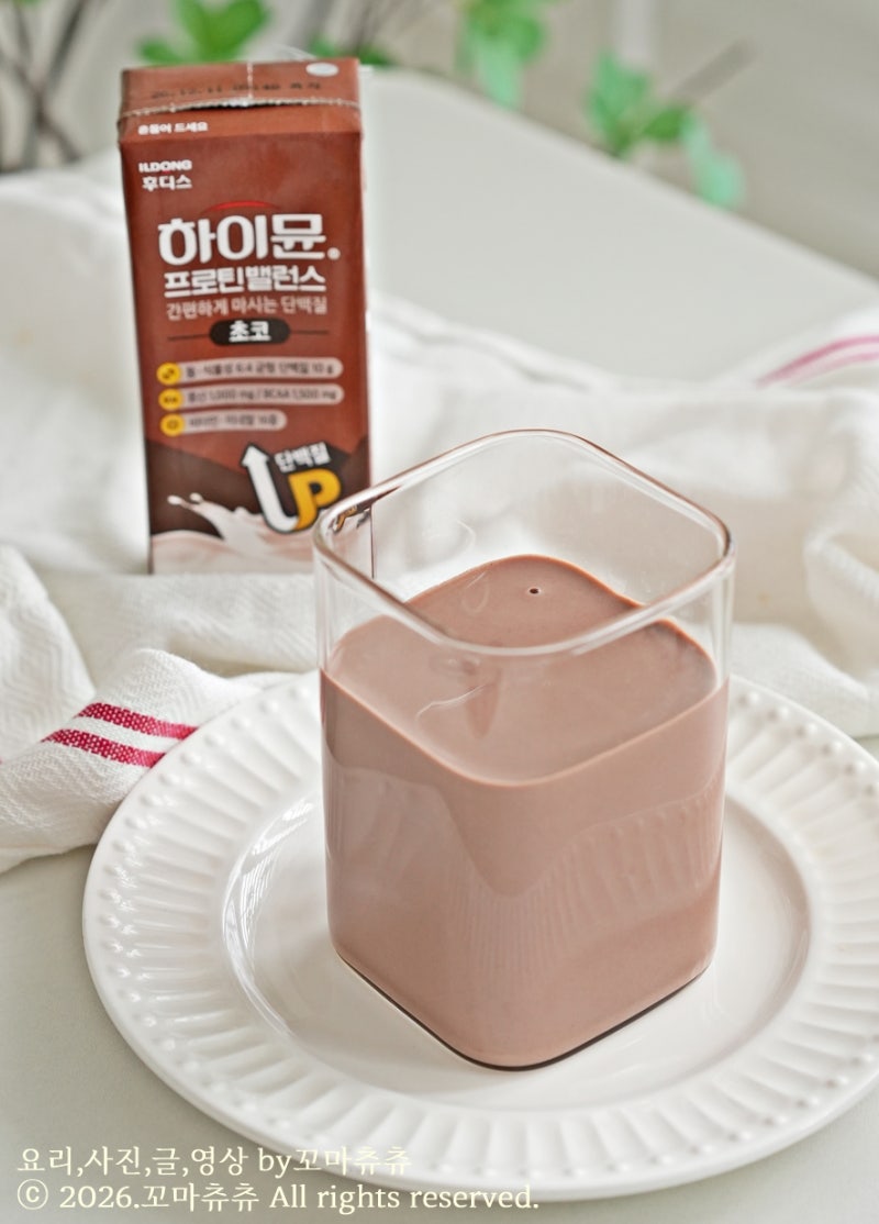 맛있는 초코프로틴 음료, 하이뮨 프로틴 밸런스 초코 후기