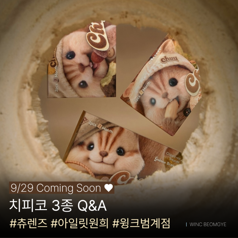 [윙크범계점] 츄렌즈 신상 치피코 3종 출시기념 Q&A │범계츄렌즈│안양츄렌즈│평촌렌즈샵....