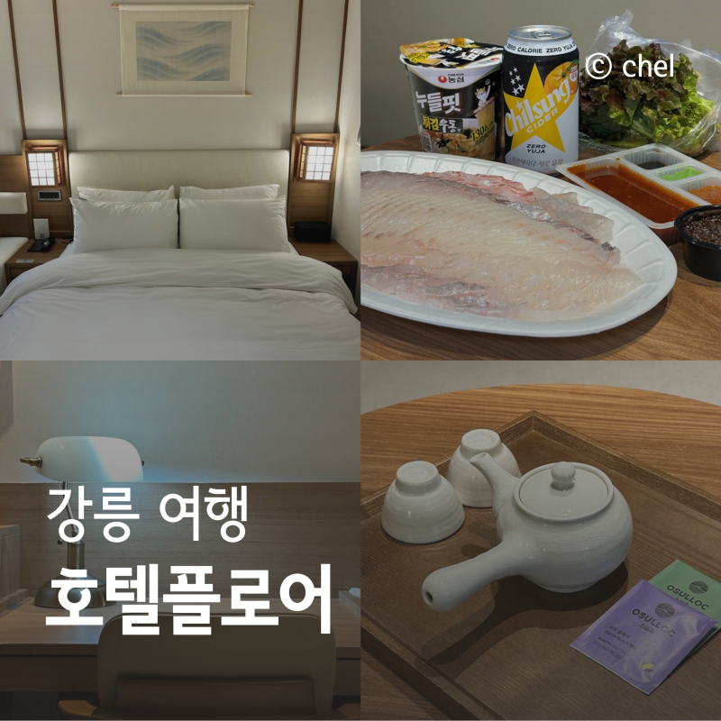 강릉 혼자 여행 숙소 뚜벅이 추천 호텔플로어
