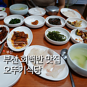 부산 중앙동의 골목노포 오뚜기식당 모퉁이에 숨어있는 회백반 맛집