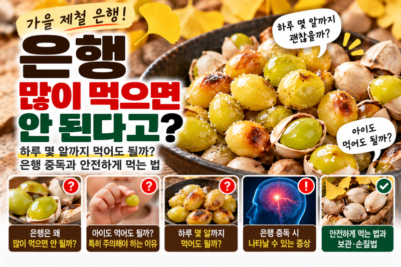 은행 많이 먹으면 안 된다고? 하루 몇 알까지 먹어도 될까, 은행 중독과 안전하게 먹는 법