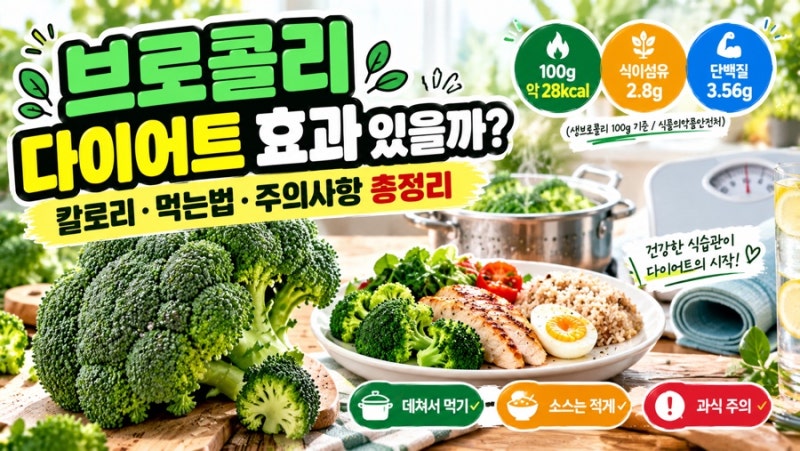 브로콜리 다이어트 효과 있을까?｜칼로리·먹는법·주의사항 총정리