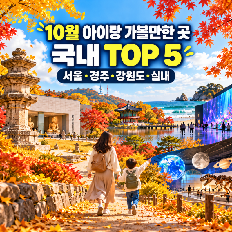 10월 아이랑 가볼만한 곳 국내 TOP 5 나들이 추천, 서울·경주·강원도·비오는 날 실내까지