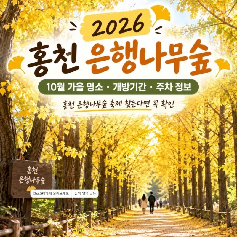 2026 홍천 은행나무숲 개방기간 총정리｜10월 단풍 절정시기·주차·입장료