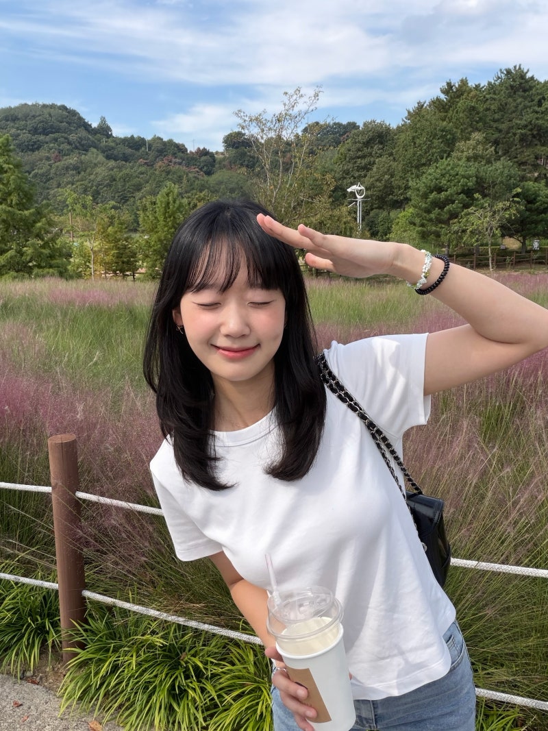 Haman 함안 악양생태공원 핑크뮬리와 악양둑방 코스모스