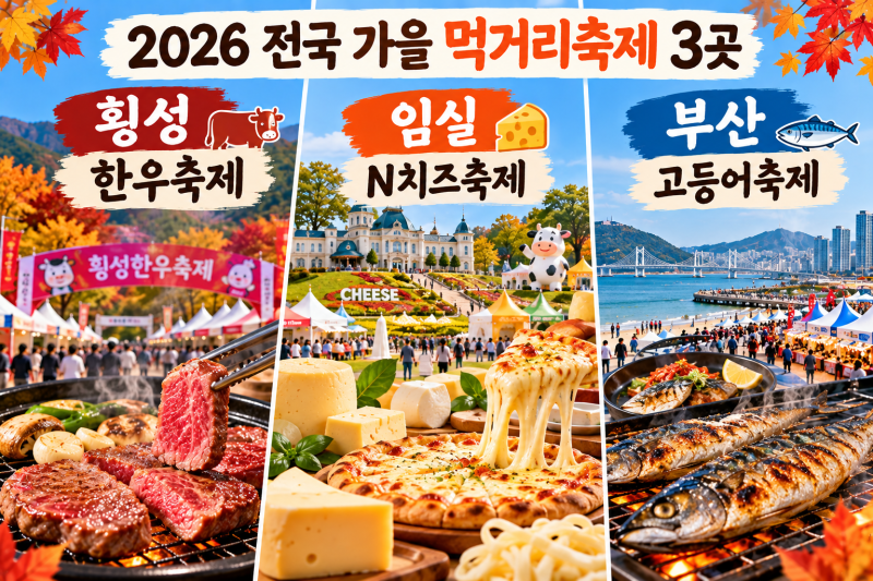 2026 전국 가을 먹거리축제 3곳, 횡성한우·임실치즈·부산고등어 일정·먹거리 총정리