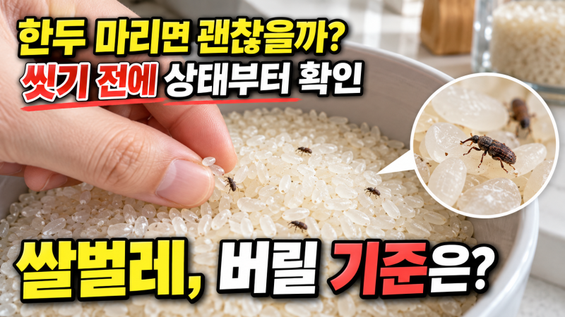 쌀벌레 생긴 쌀 씻어서 먹어도 될까? 버릴지 판단하는 기준