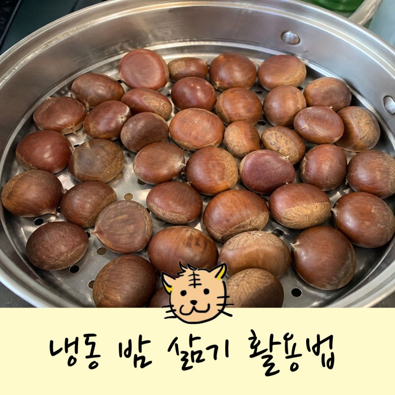 성공 100% 냉동밤 삶기와 냉동밤 활용 꿀팁