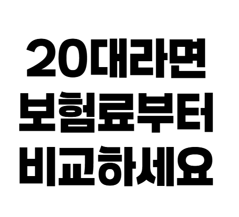 20대 자동차보험료 비싼 이유와 보험료 절약하는 방법