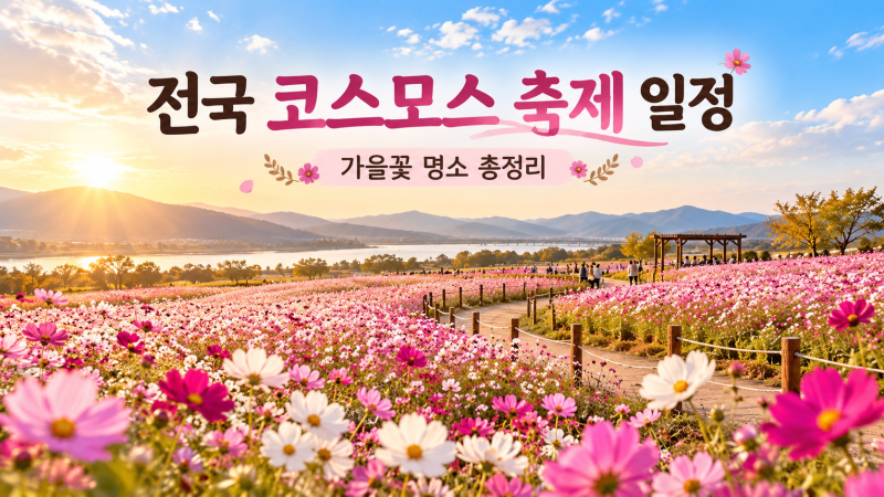 2026 전국 코스모스 축제 일정 총정리, 가을꽃 명소 어디로 갈까?