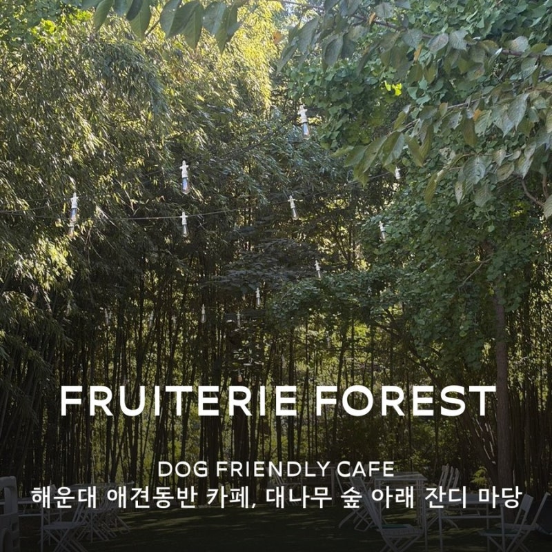 해운대 애견동반 카페, 잔디 마당이 있는 곳을 찾는다면 — 대나무 숲 아래 반려견존 안내