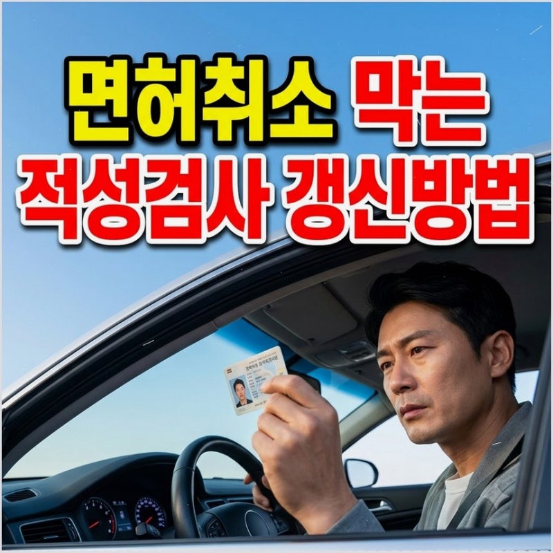 운전면허 적성검사 갱신 기간 과태료 준비물 75세 이상 의무 교육 정보까지 꼼꼼하게 안내합....