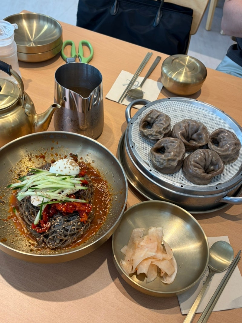 [파주] 애견동반 맛집 강별면옥 ㅣ 강아지와 함께 먹는 속초비빔냉면&메밀만두 맛집