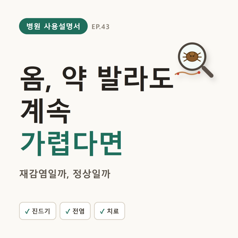 옴 증상·치료, 약 발라도 계속 가렵다면 (진드기·전염·잠복기)