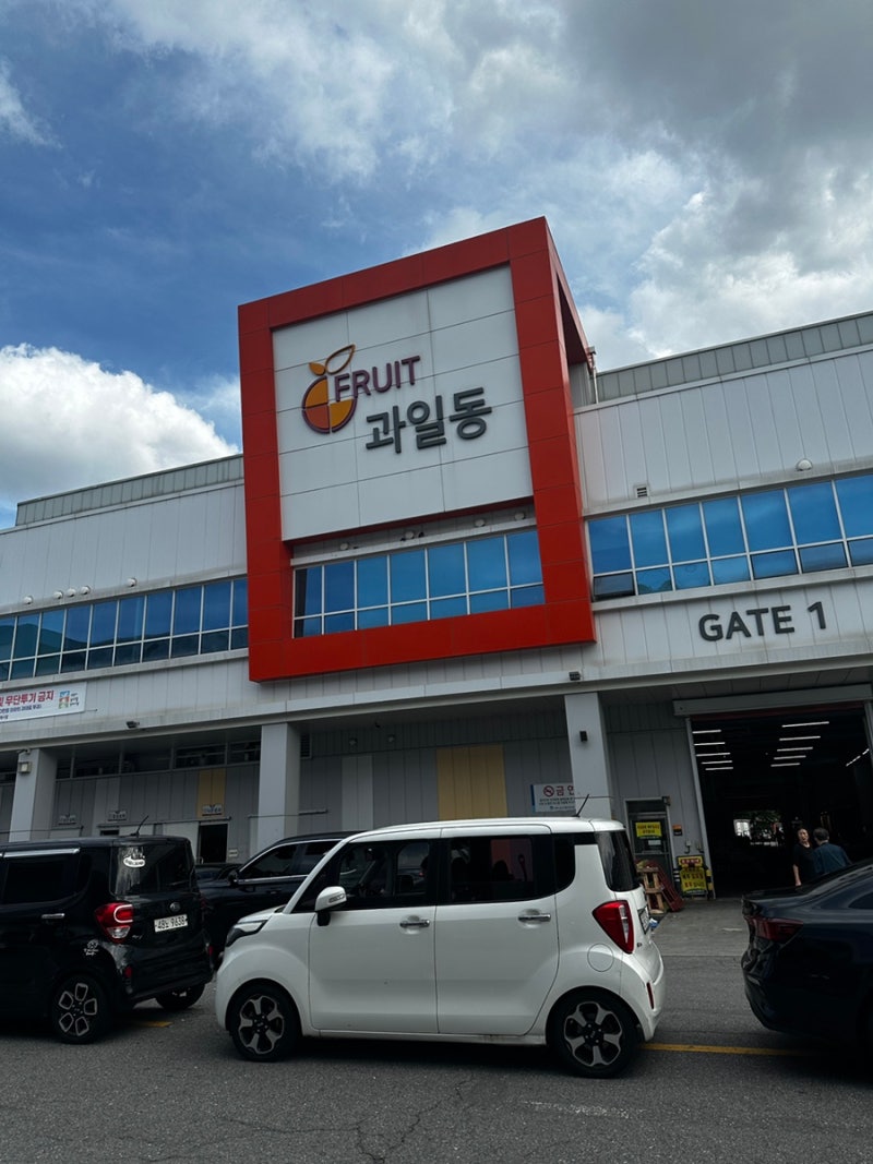 [수원] 수원농수산물도매시장 후기 / 가격 왤케 저렴하죠?