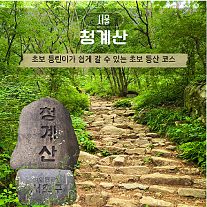 청계산 등산코스 추천 초보 등린이 후기 소요시간 주차