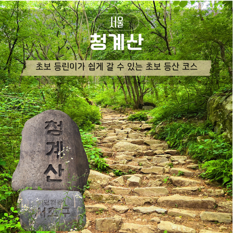 청계산 등산코스 추천 초보 등린이 후기 소요시간 주차