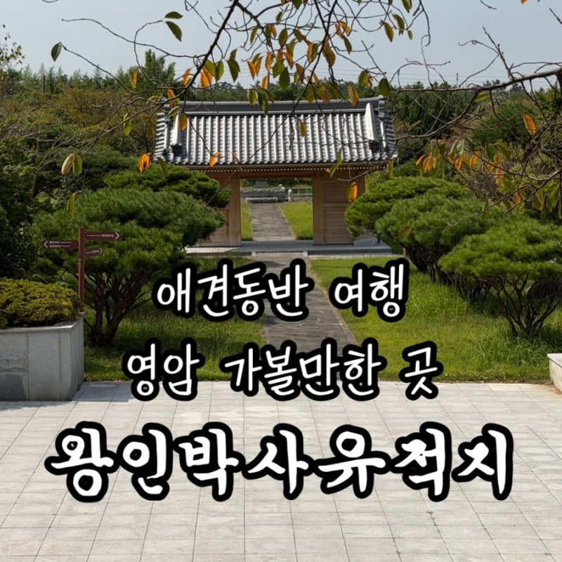靈巖必訪景點，王仁博士遺跡地寵物同伴旅遊路線 (W. 相手浦歷史公園)