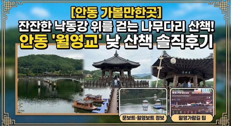 [안동 가볼만한곳] 잔잔한 낙동강 위를 걷는 나무다리 산책! 안동 '월영교' 낮 산책 솔직후기 ....