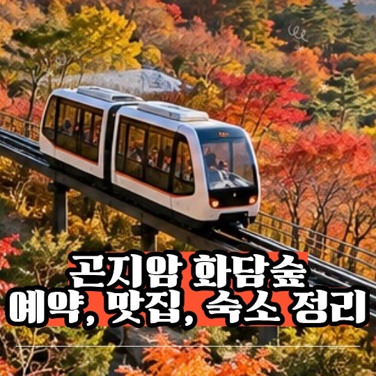 [경기도 대표 단풍 명소 화담숲] 화담숲 예약, 맛집, 코스 총정리