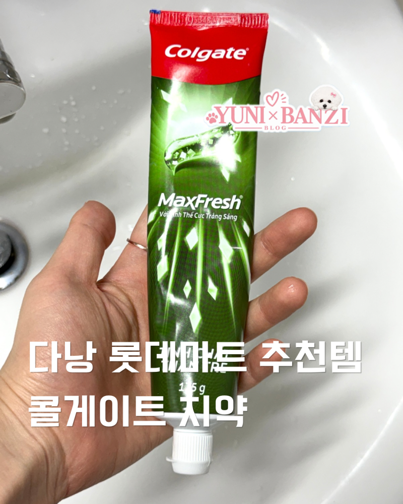 다낭 롯데마트 쇼핑리스트 베트남 여행 필수템 콜게이트 맥스프레쉬 밤부차콜 치약