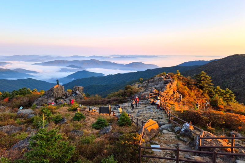 산림청 2026 전국 단풍지도 주요 산 절정 시기 : 실시간 단풍 진행상황 이렇게 확인하세요