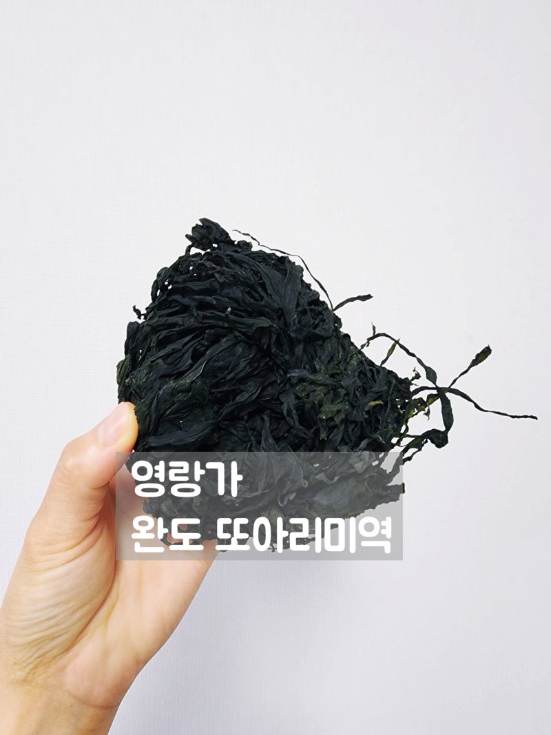 영랑가 또아리미역으로 시원한 바지락 미역국 끓이기