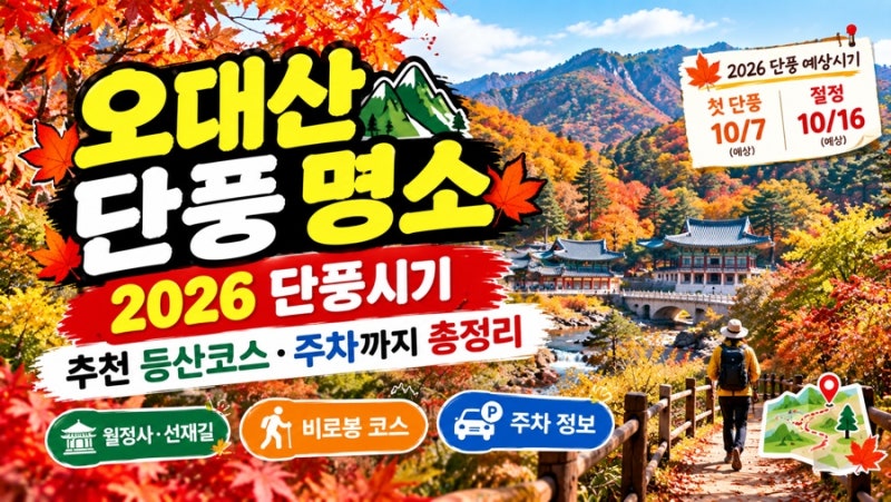 오대산 단풍 명소｜2026 단풍시기·추천 등산코스·주차까지 총정리