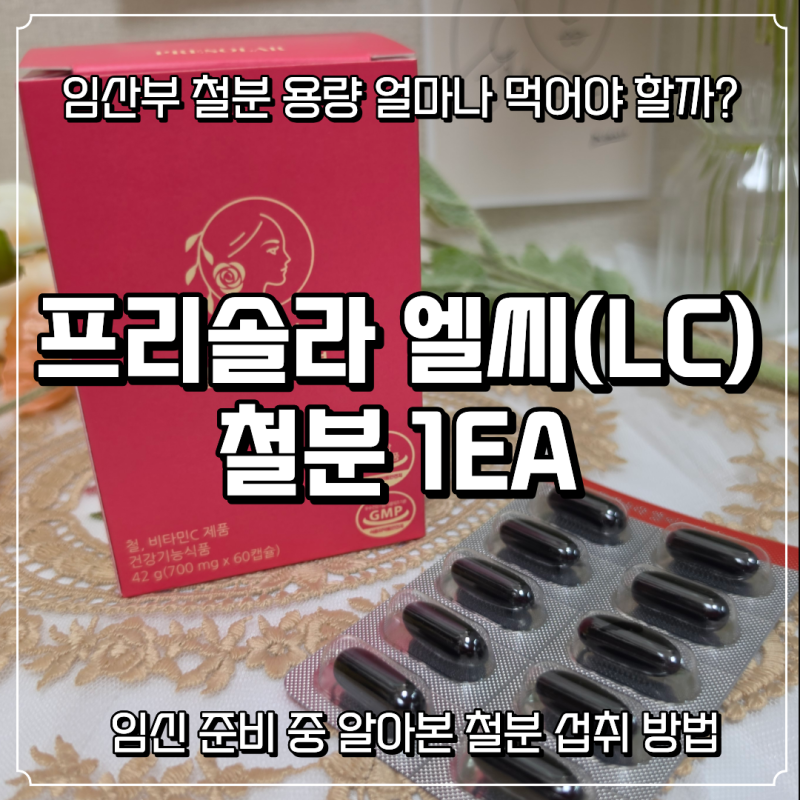 임산부 철분 용량 시기부터 복용법까지 프리솔라 엘씨 철분 알아보기