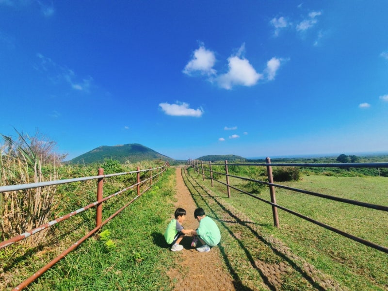 Recommended Jeju Island Yongnuni Oreum: A good path for walking with children, rest stop with wild strawberries and Hallabong juice | With kids in Jeju