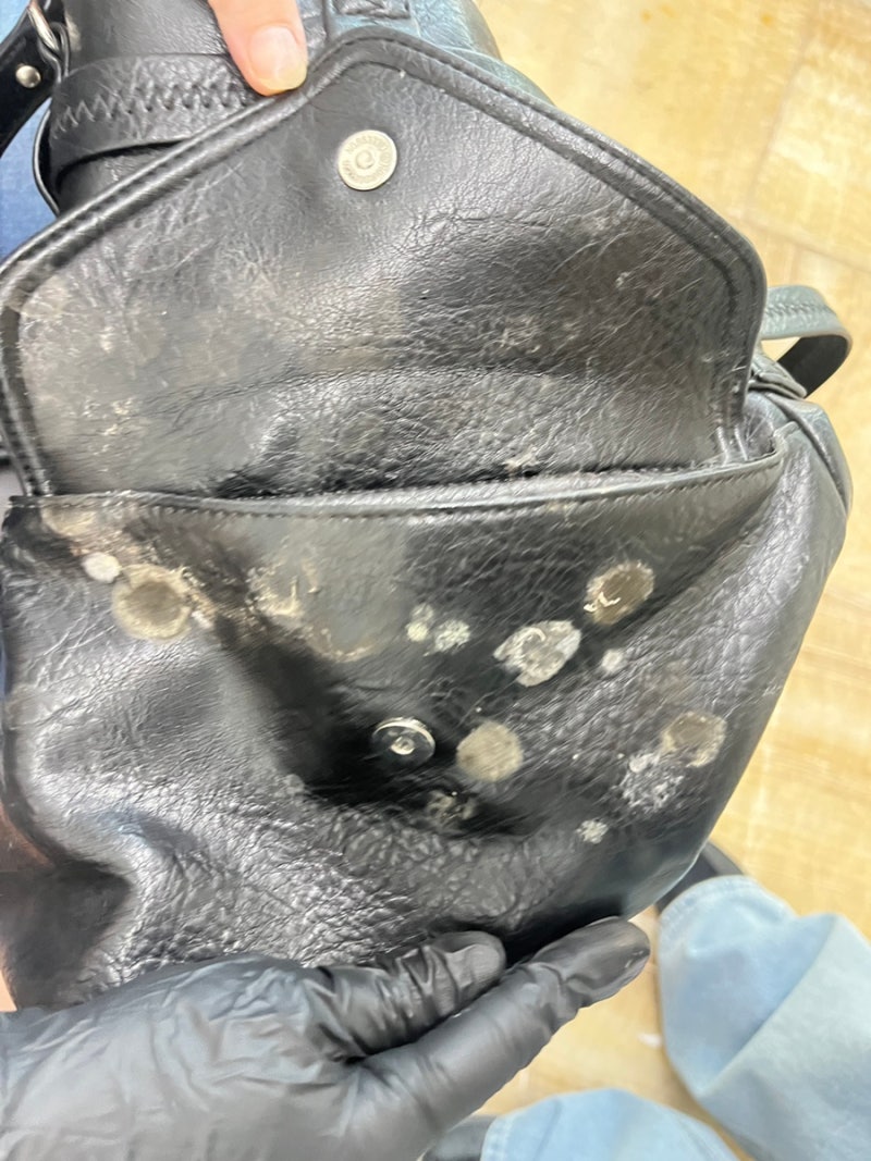 곰팡이 핀 가죽가방 수선 후기 '까사트레이드'에 맡겨봤어요