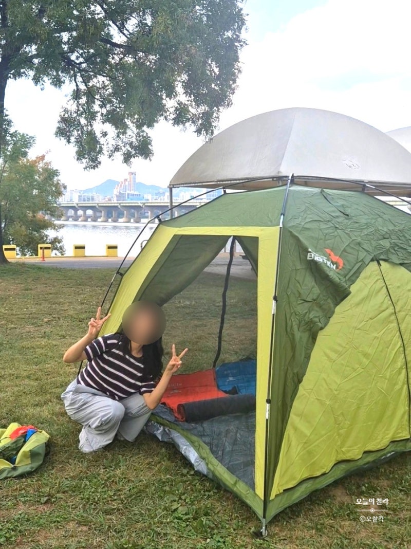 Jamsil Hangang Park Picnic: Delivery Zones, Shaded Tent and Mat Locations - A Complete Guide
