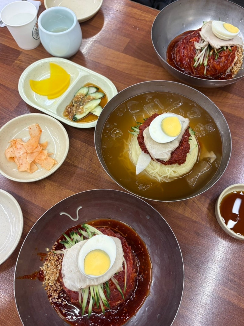 부산3대밀면 부산역 맛집 초량밀면 물밀면 비빔밀면 숨겨진 군만두 맛집 왜 다들 왕만두만 ....