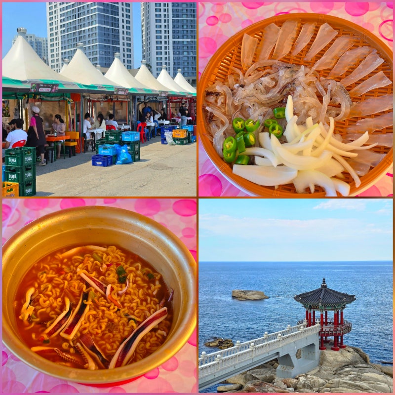 Sokcho Squid Market: Hours, Period, September Prices, and Market Rates at Dongmyeong Port