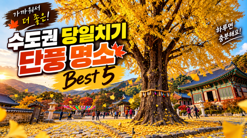 수도권 당일치기 단풍 명소 Best 5: 화담숲 북한산 등 절정 예상일 & 꿀팁