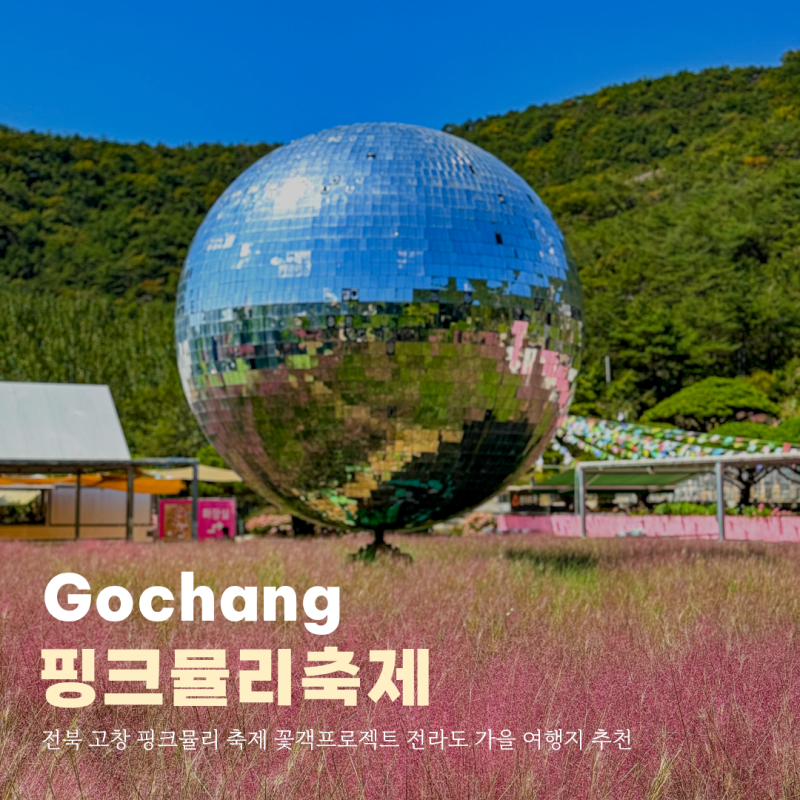 전북 고창 핑크뮬리 축제 꽃객프로젝트 전라도 가을 여행지 추천