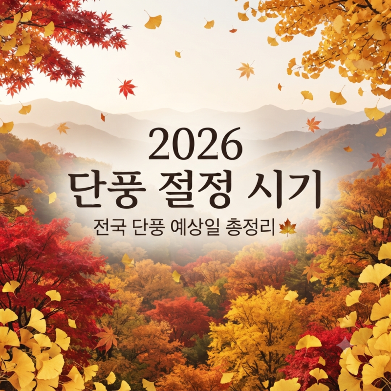 2026 단풍 절정 시기 총정리｜전국 단풍 예상일·설악산·내장산·경주 단풍 언제?