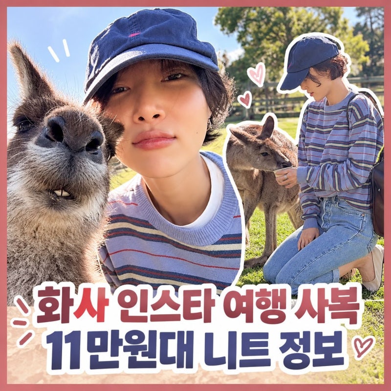 화사 인스타 여행 사복 11만원대 니트 정보 어디 건지 자세히 알아봐요