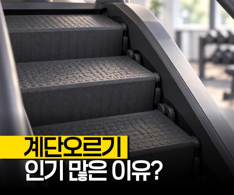 " 심혈관 질환 사망 위험이 39% 낮았다"스텝밀 천국의계단 계단오르기운동기구