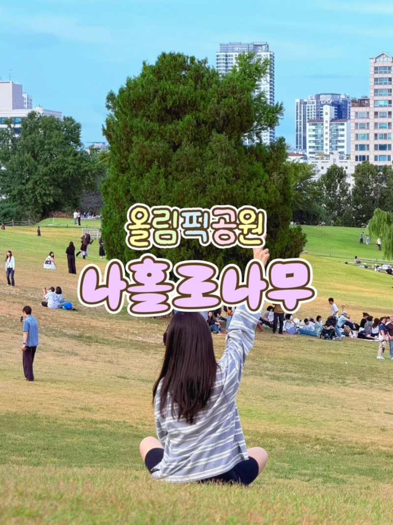 [서울 피크닉] 올림픽공원 나홀로나무｜피크닉 장소부터 포토스팟,뚜벅이,주차·배달 꿀팁까....